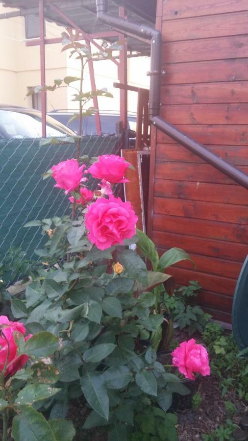 Homestay 11 Debow Nadmorska Dzwirzyno