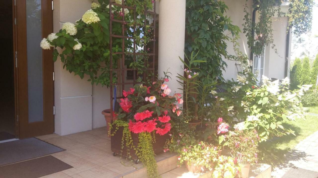 Homestay 11 Debow Nadmorska